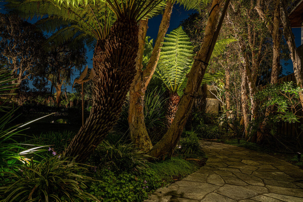 Downlit path to pool