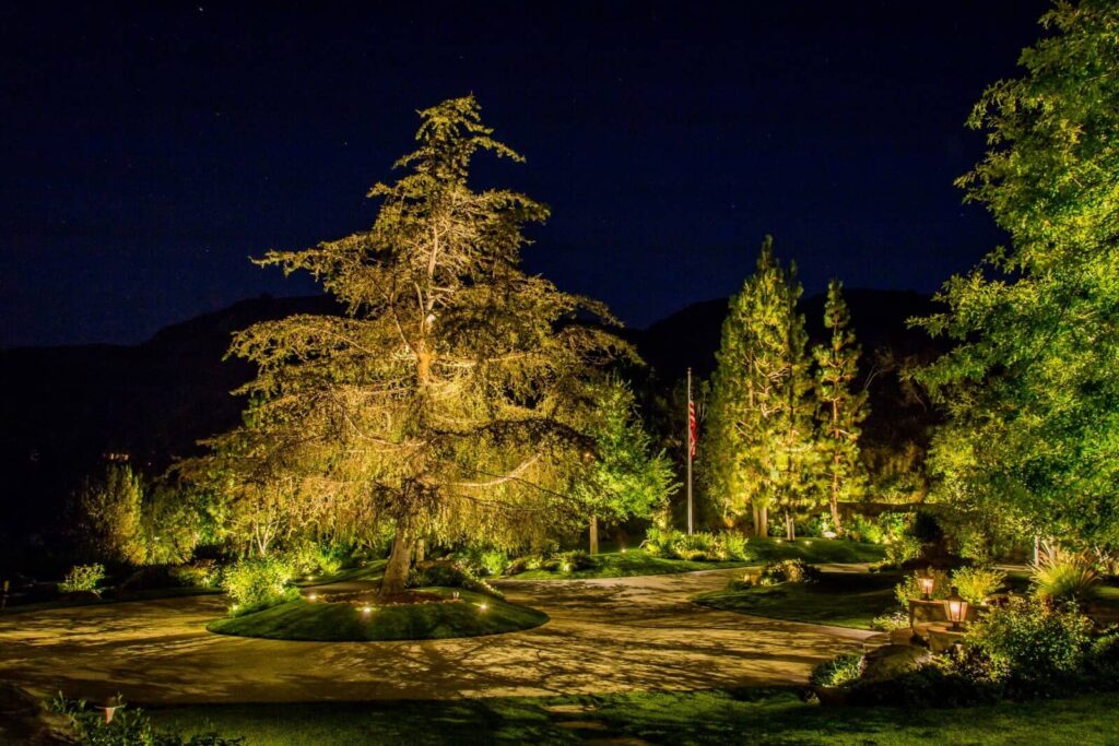 Lighting for Large Specimen Trees