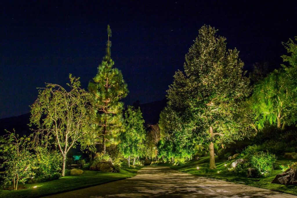 Driveway Landscape Lighting Ideas